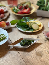 画像をギャラリービューアに読み込む, HISHI Yadori M/鍋島焼