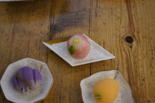 画像をギャラリービューアに読み込む, HISHI Yadori S/鍋島焼