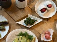 画像をギャラリービューアに読み込む, HISHI Yadori M/鍋島焼