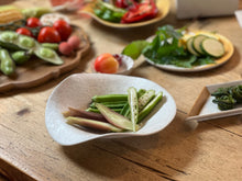 画像をギャラリービューアに読み込む, NAMI silver