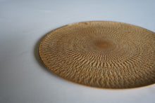 画像をギャラリービューアに読み込む, Saiku Plate