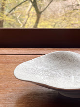 画像をギャラリービューアに読み込む, NAMI silver